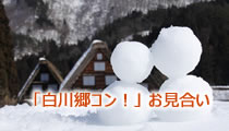 白川郷コン お見合い