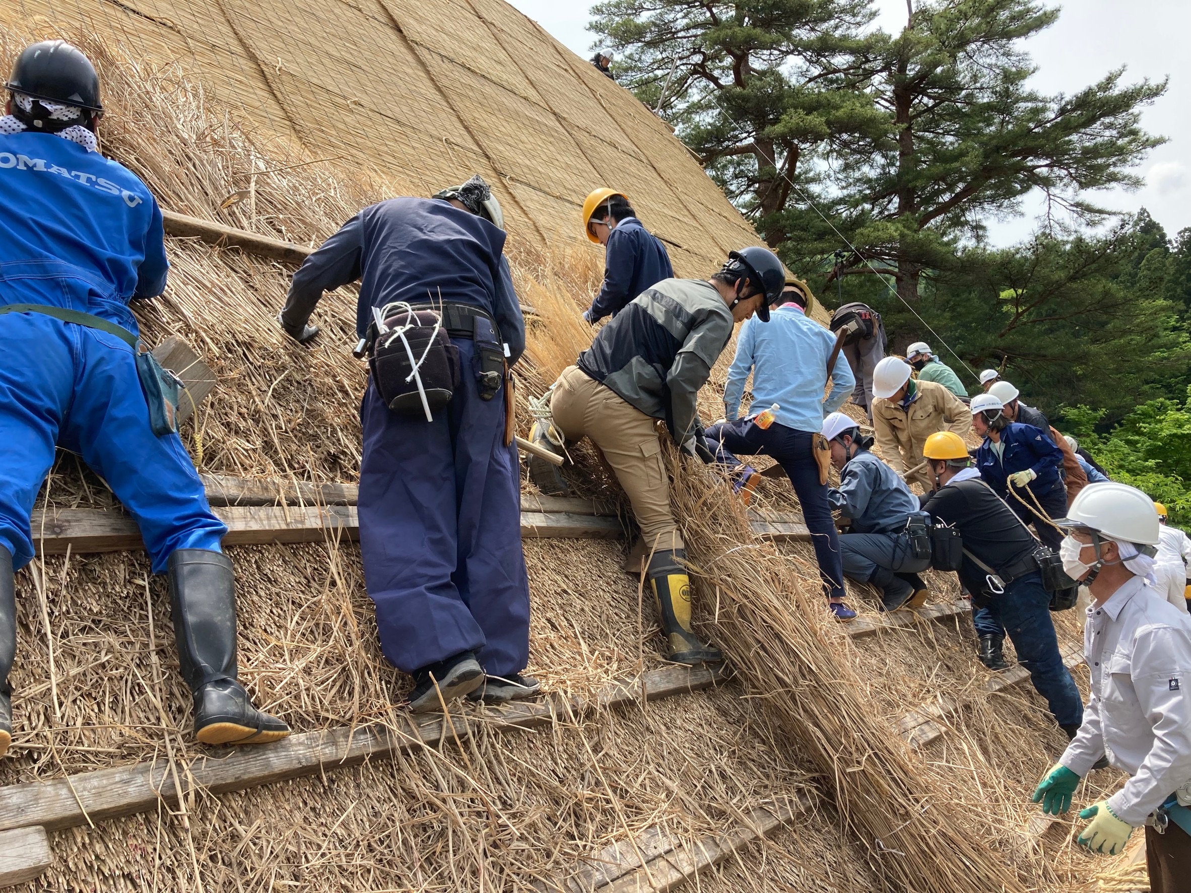 飛騨日日新聞 | 【白川村求人図鑑】一般財団法人世界遺産白川郷合掌 