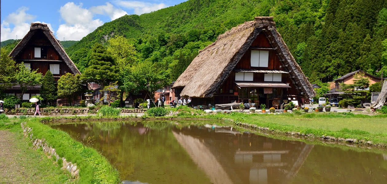 新緑の白川郷