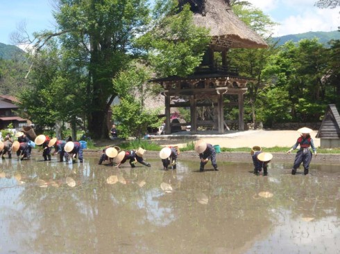 田植え祭りの画像