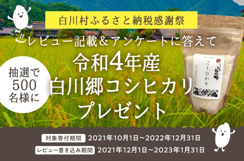白川村レビューキャンペーン