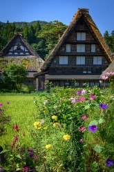 夏の合掌造り