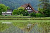 白川郷合掌造り建物の画像その5