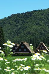 白川郷合掌造り建物の画像その12