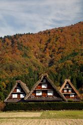 白川郷合掌造り建物の画像その19