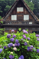 白川郷合掌造り建物の画像その10