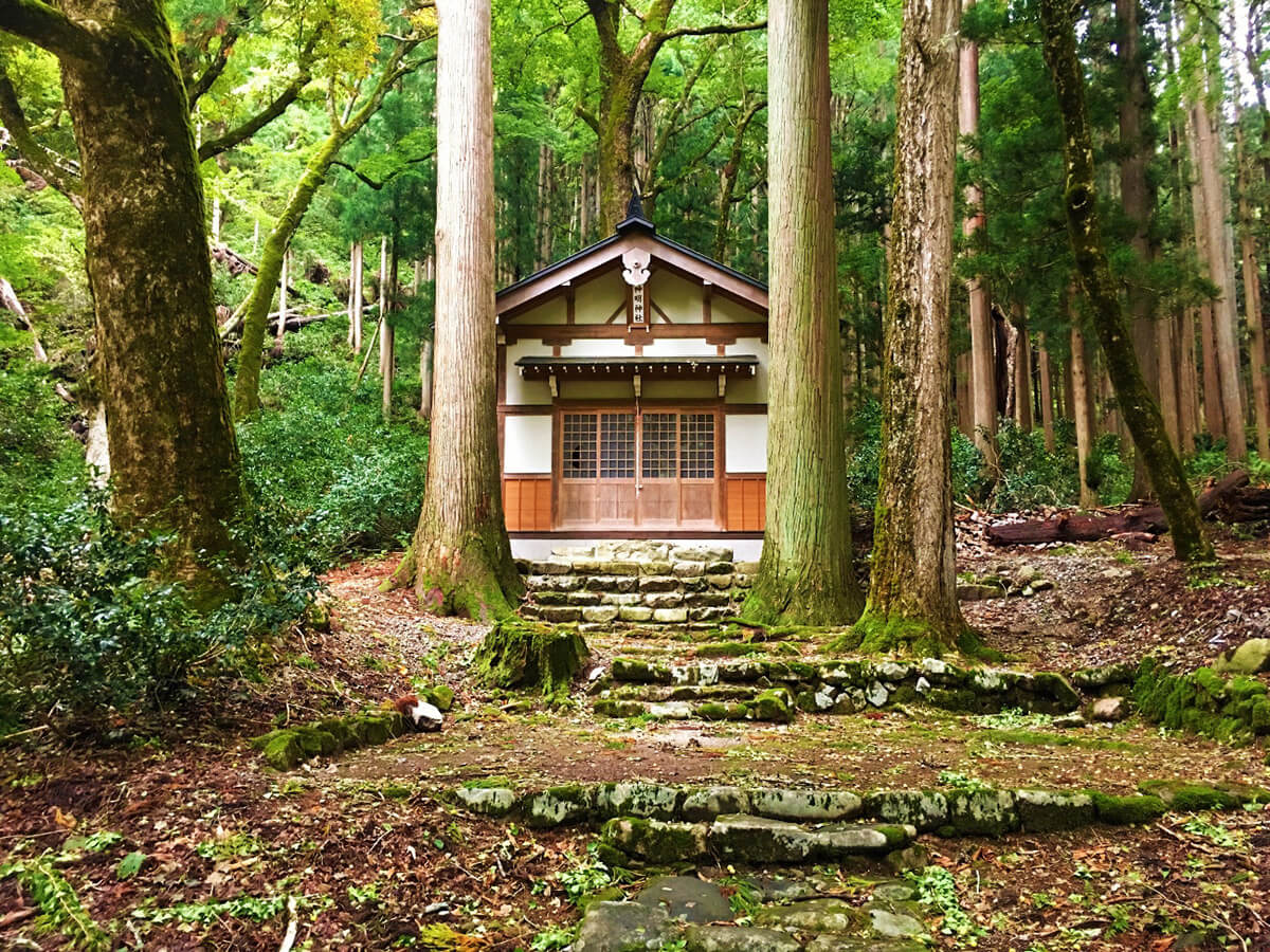 長瀬神明神社社叢の画像