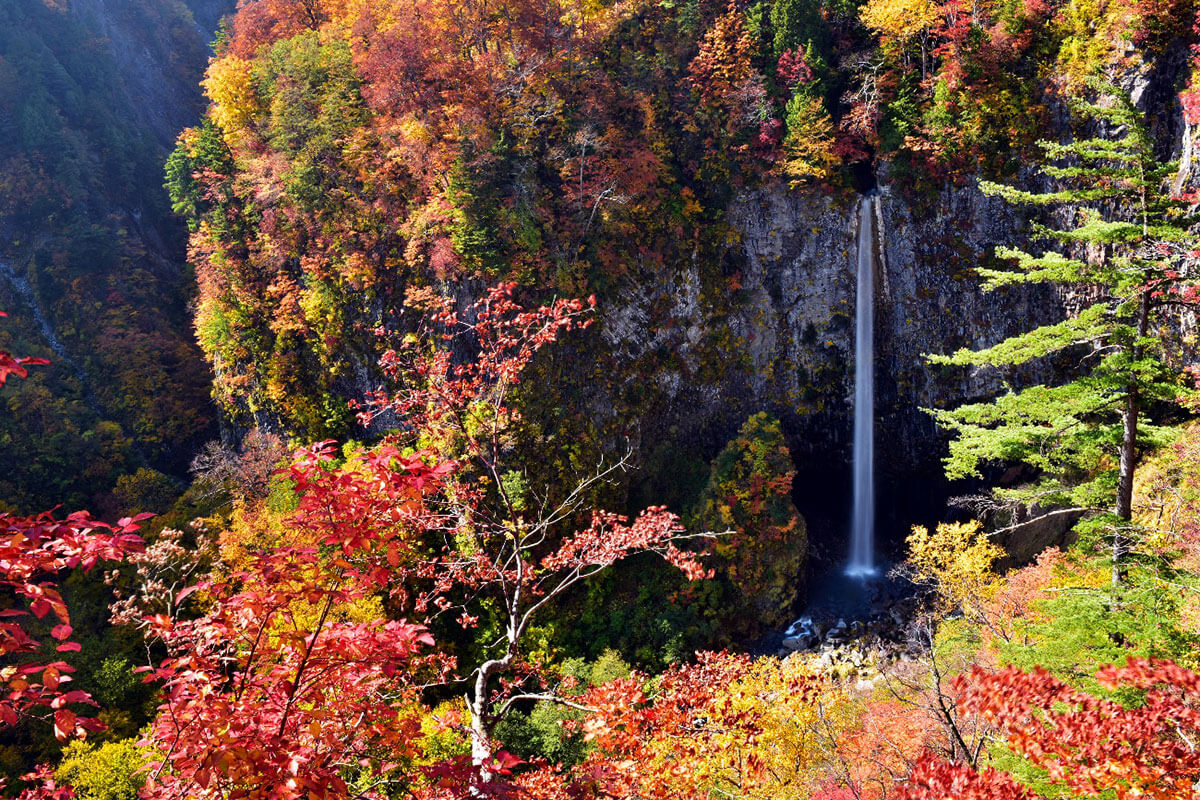 白水の滝の画像