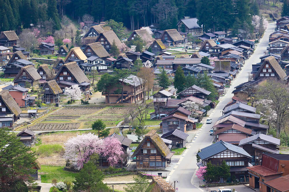 Gassho Style Houses