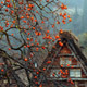 Persimmon_1