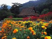 Myozenji Temple Museum_4