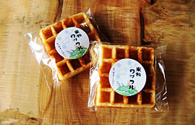 Rice Flour Waffles_1