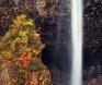 秋の白水の滝（写真は10月下旬頃）