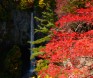 秋の白水の滝（写真は10月下旬頃）