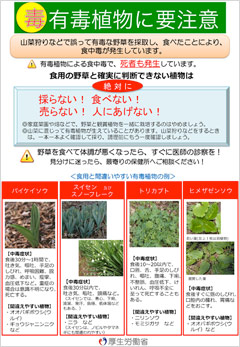 有毒植物による食中毒予防の注意喚起について