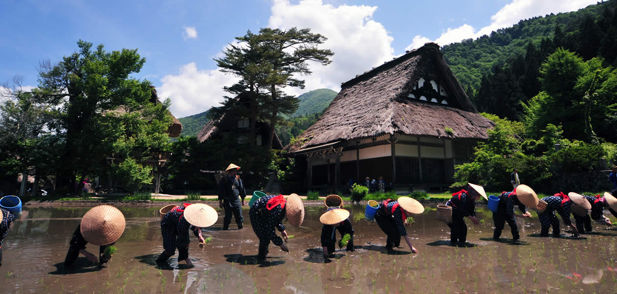 田植え祭り