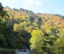 白山スーパー林道　秋