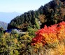 白山スーパー林道　秋