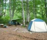 白山ブナの森キャンプ場3