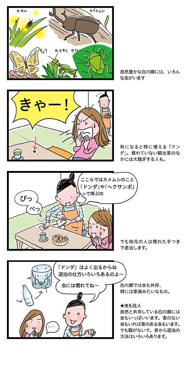 自然豊かな白川郷には虫がいっぱい