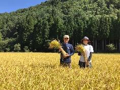 戸ヶ野育ちの甘酒2