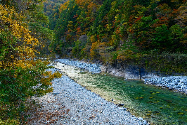 shogawa river